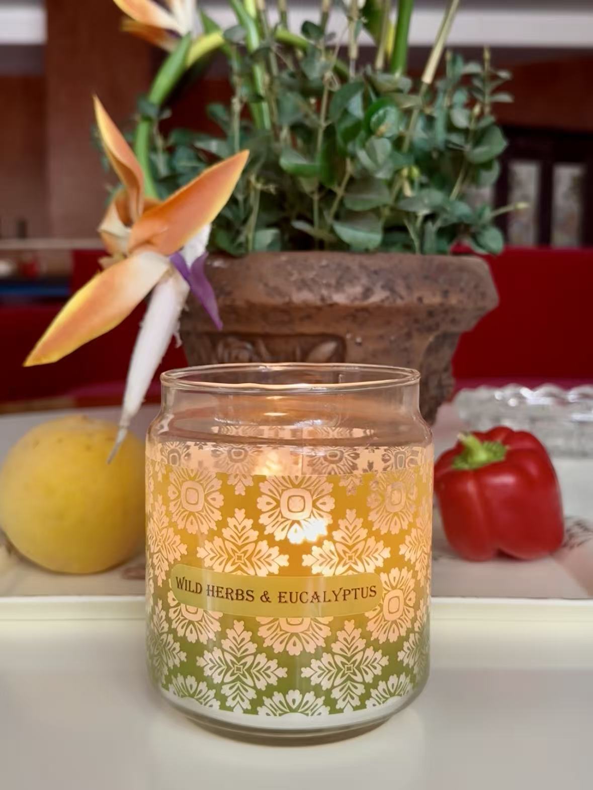 20oz Large Glass Jar Candle - Wild Herbs & Eucalyptus (Style 2)